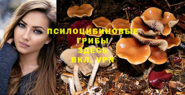 марихуана Баксан