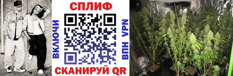 Канабис план  где можно купить наркотик  ссылка на мегу ТОР  Лянтор 